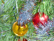 Colorful Christmas balls on a pine branch.
