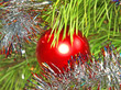 Red Christmas ball.