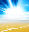 paradise beach