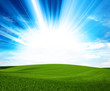 sunlight green field