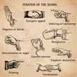 Set of vintage hands - Various Positions in vector - High Qualit