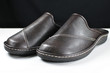 Photo: Mules Mules