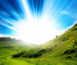 vivid countryside sunlight