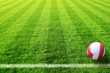 fussballfeld mit ball