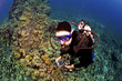 Looking Down on Diver