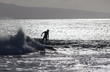 surfer silhoutted against the silver waves on maui coast surfer silhoutted against the silver waves on maui coast