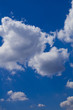 わた雲