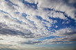 わた雲
