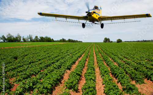 Photo: Crop dusting Crop dusting