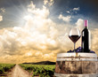 Wine still life against vineyard Wine still life against vineyard