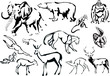collection of animals sketches collection of animals sketches