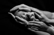 Newborn baby sleeping into parents hands. Concept: kids protecti