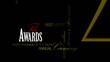 The Artist Awards 2012 talent show ceremony tag cloud template