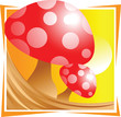 Illustration: mushroom mushroom