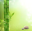 Vector: vector meditative, oriental background with bamboo and stones vector meditative, oriental background with bamboo and stones
