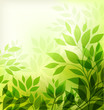 abstract background with green sheet
