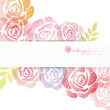 rose background