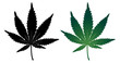 Cannabis leaf