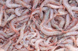 Anzio harbour street market shrimps detail
