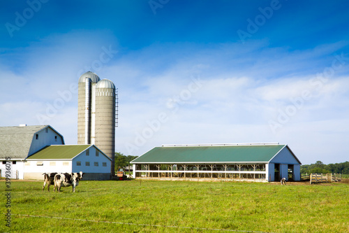 Photo: Milk Farm Milk Farm