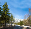 Spring time the Alps Spring time the Alps