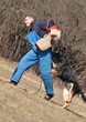 dressage du chien