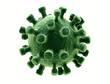 Isolated bacteria cells