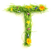 Letters made of flowers and grass