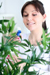woman tending and cultivating flowers