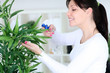 Woman spraying flowers
