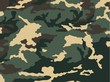 Camouflage Muster