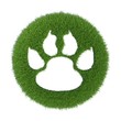 trace of the animal on the green grass