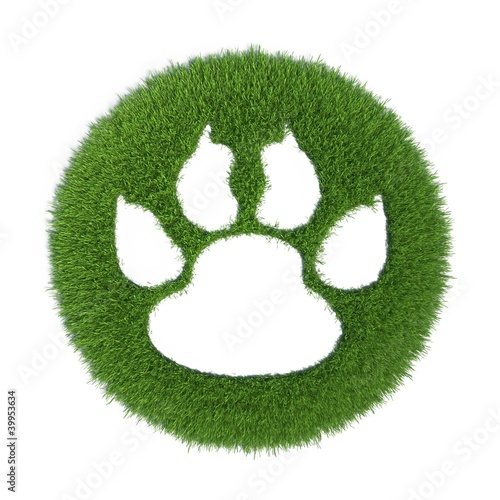 Illustration: trace of the animal on the green grass trace of the animal on the green grass