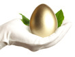 Golden egg in the hand