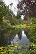 Silent pond.
