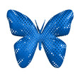 A blue butterfly isolated on white background