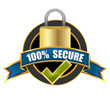 100% Secure