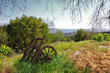 Countryside Wagon