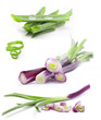 Collection of green onions isolated on a white background, macro