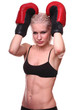 Boxer
