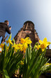 flowers and man taking photos in front of cathedral in freiburg flowers and man taking photos in front of cathedral in freiburg