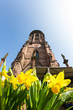 flowers in front of cathedral in freiburg flowers in front of cathedral in freiburg