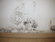 Foto: Schimmel an einer Außenwand Schimmel an einer Außenwand