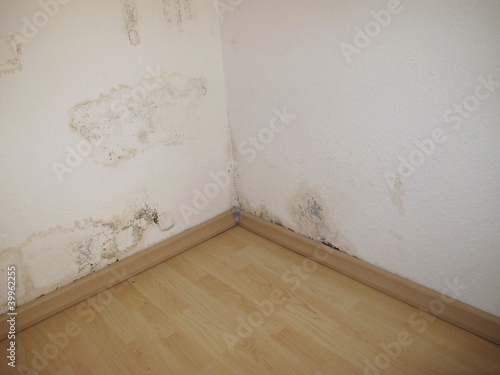 Photo: Feuchte Wandecke Feuchte Wandecke