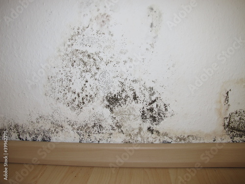Photo: Schimmel an einer Außenwand Schimmel an einer Außenwand