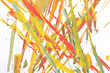 colored abstract brush painting