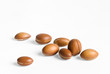 noix d'argan