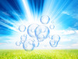 bubbles in sunlight