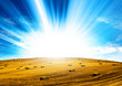 sunshine hay field