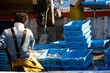 Arrivée de pêche
